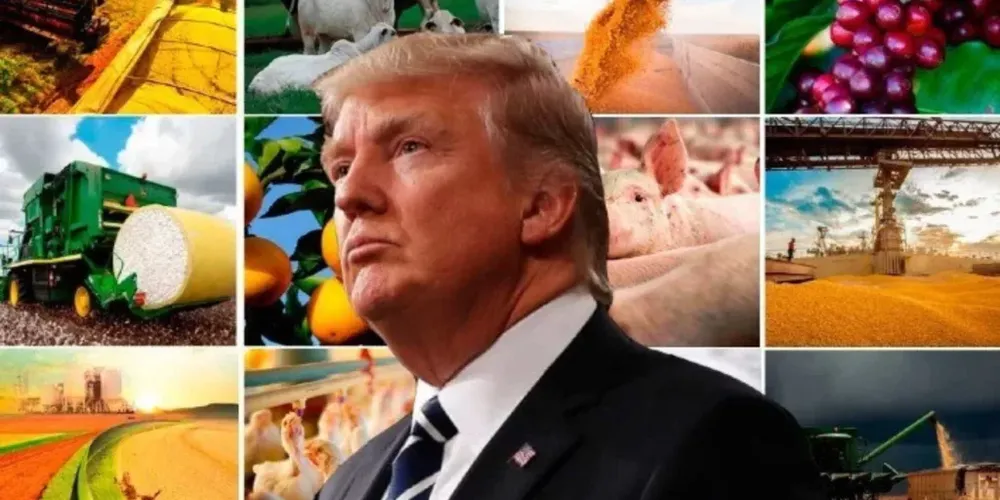 Produtores americanos criticam Trump e alertam para guerra comercial