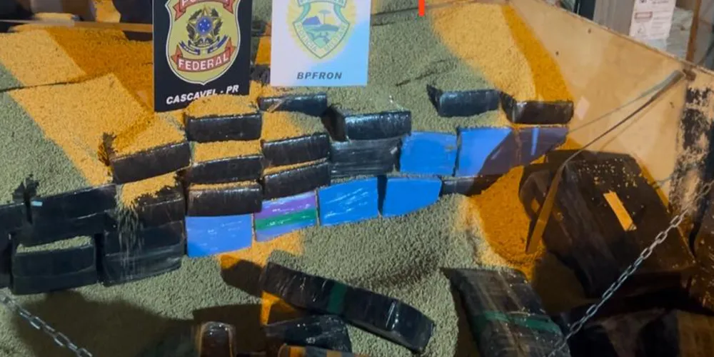 O homem foi preso e encaminhado à Delegacia de Polícia Federal de Cascavel