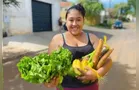 Feira Verde estará no Santa Paula e mais 14 vilas; veja sua rua