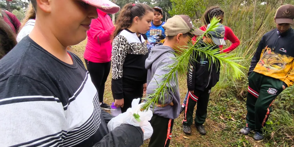 Plantio marca colaboração dos educandos com a natureza