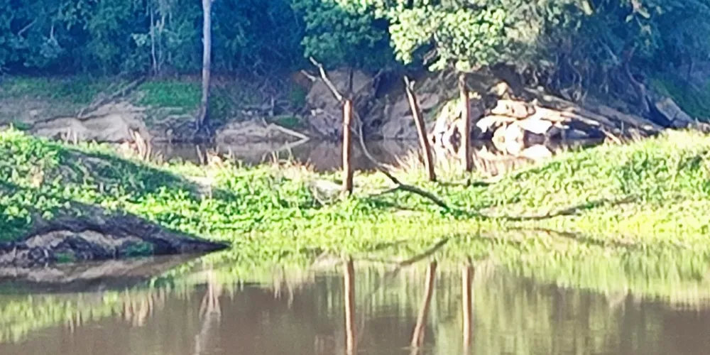 Os jovens estavam no rio Tibagi, aos fundos do bairro Casa Bela, em Telêmaco Borba