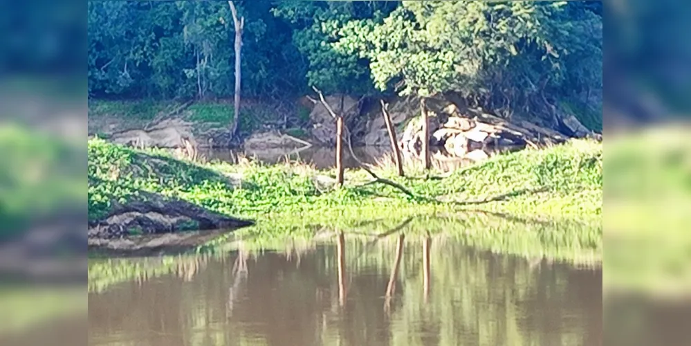 Os jovens estavam no rio Tibagi, aos fundos do bairro Casa Bela, em Telêmaco Borba