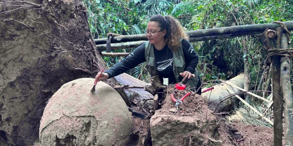 Descoberta pode ajudar a entender práticas dos povos originários