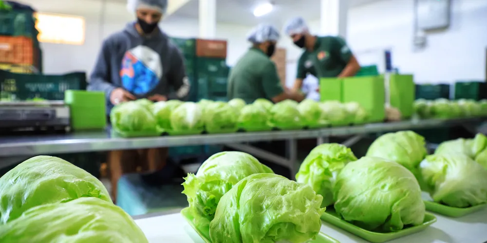 Prazo para inscrição é ate 20 de maio