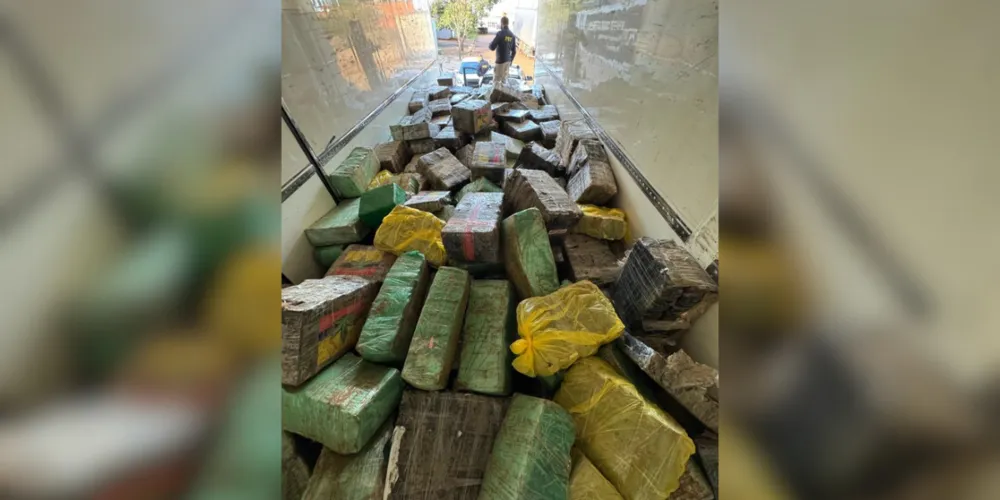 Ao todo, 7.7 toneladas de maconha foram encontrados