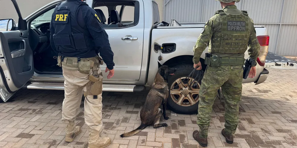 A apreensão ocorreu em Alto Paraíso