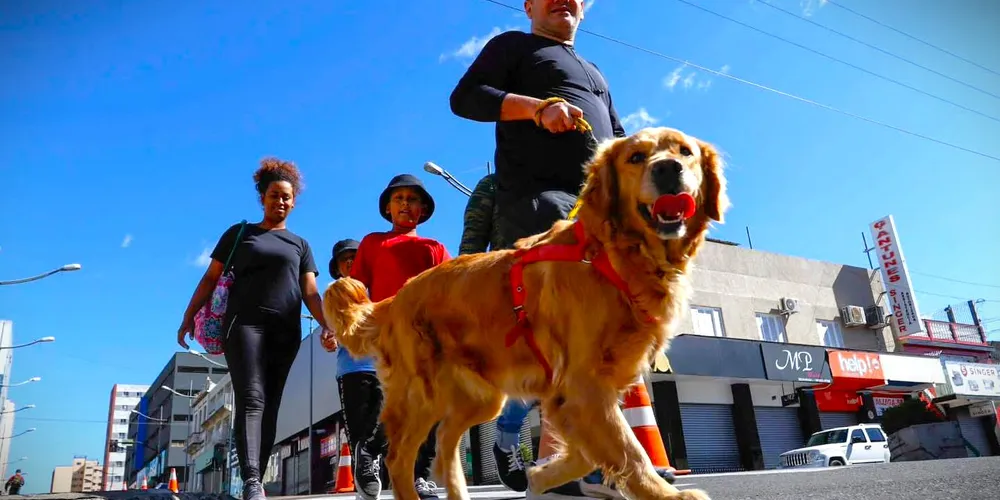 Caminhadas com animais de estimação também serão possíveis