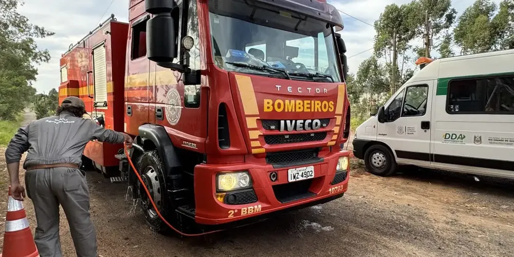 Rio Grande do Sul se mobiliza para conter gripe aviária