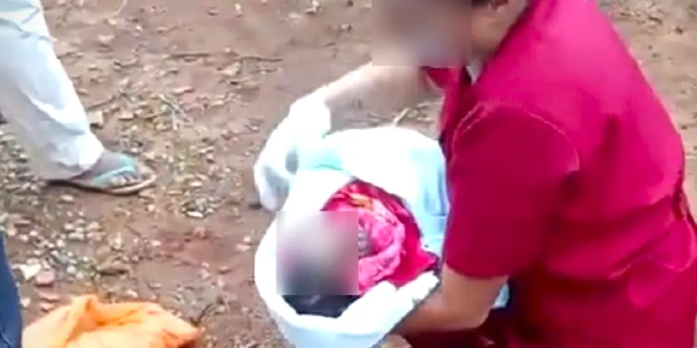 Bebê foi resgatado e levado ao hospital, mas não resistiu aos ferimentos