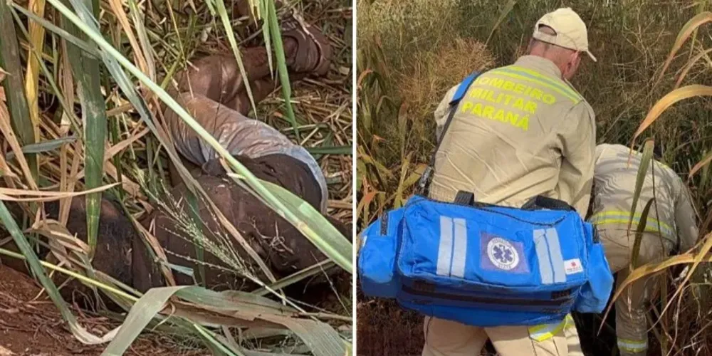 Bombeiros foram ao local