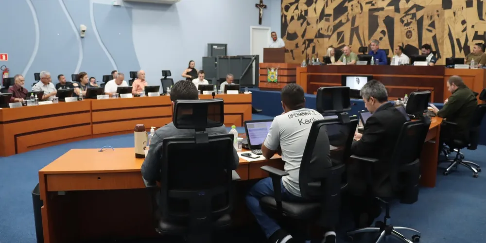 Imagem ilustrativa da imagem Vereadores de PG se reúnem em sessão especial no Santa Maria neste domingo