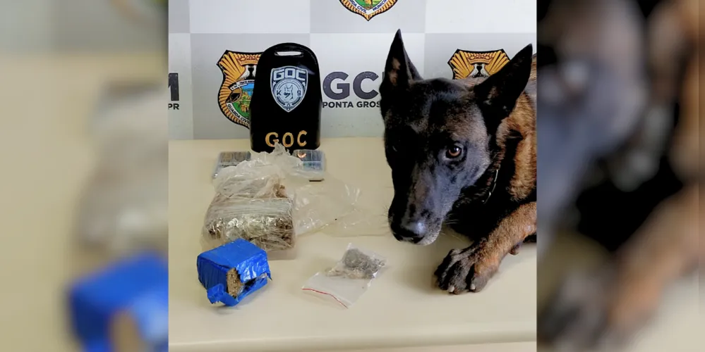 Material foi levado para a 13ª Subdivisão Policial