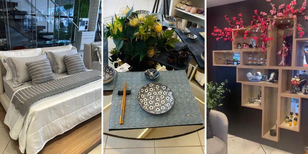 Projeto lança coleções a cada seis meses