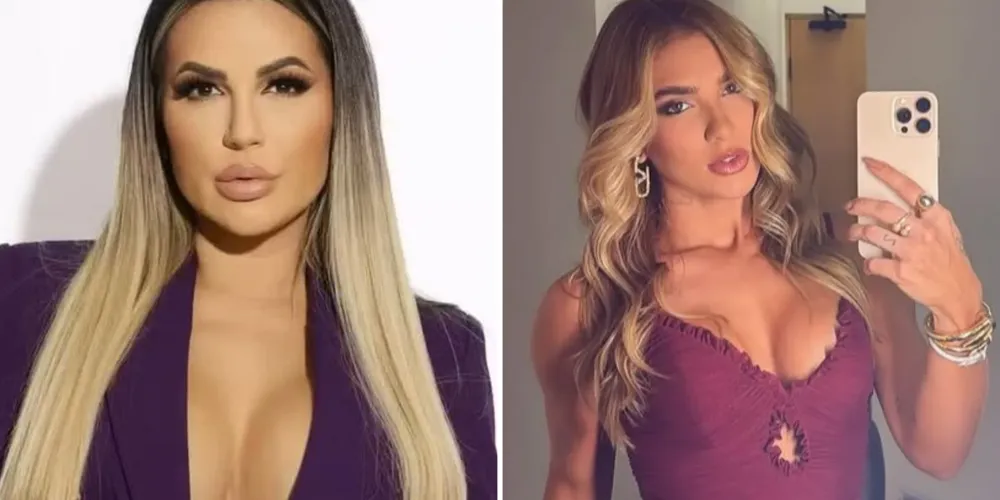 Deolane Bezerra e Virgínia Fonseca estão entre as citadas no relatório