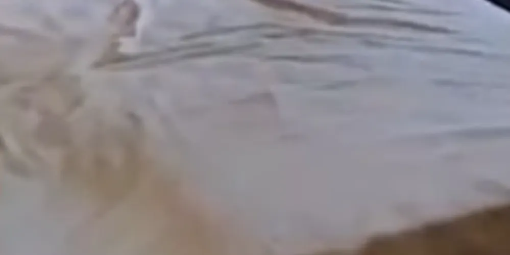 Os agentes encontraram o corpo e prenderam os filhos em flagrante por ocultação de cadáver