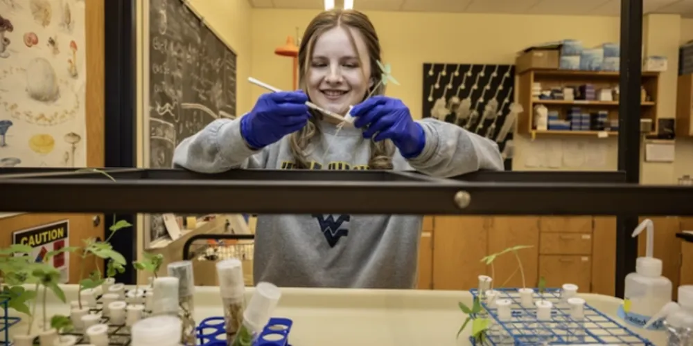 O estudo sobre o fungo foi publicado na revista científica Mycologia, em abril