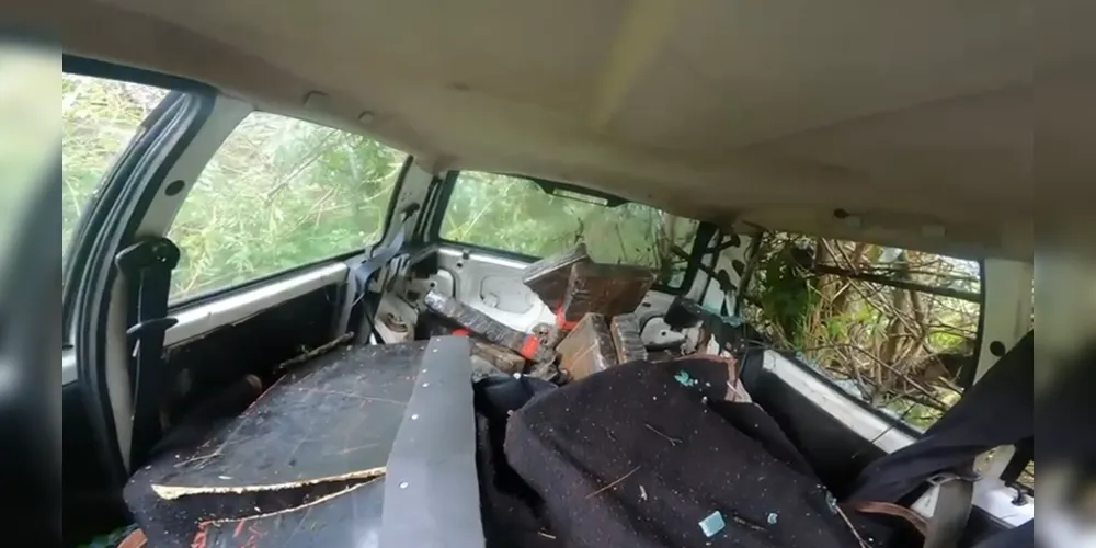 Imagem dos mais de 160 kg de maconha no veículo