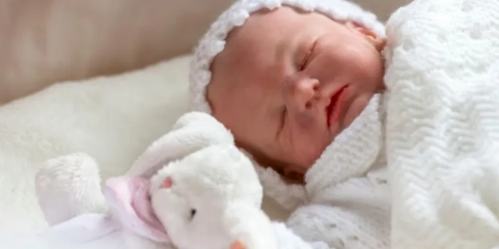 A cliente, inclusive, enfatizou que, justamente pelo apego emocional, a solução não seria comprar outra boneca hiper-realista