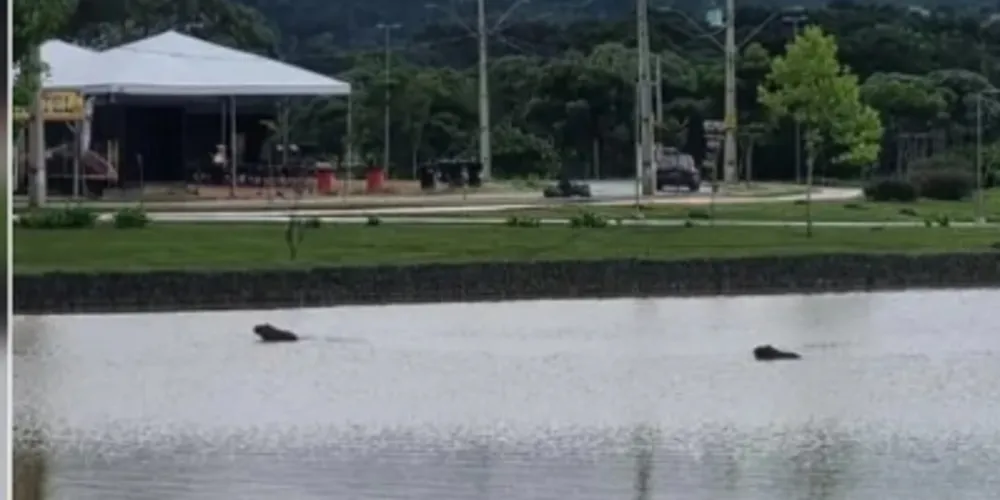 O encontro faz parte do projeto 'Brilhamos Juntos – Cada um com seu jeito especial'