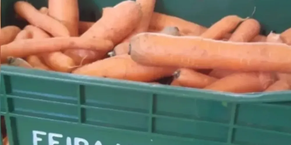 Três equipes estarão hoje nos bairros trocando frutas, verduras e legumes por recicláveis