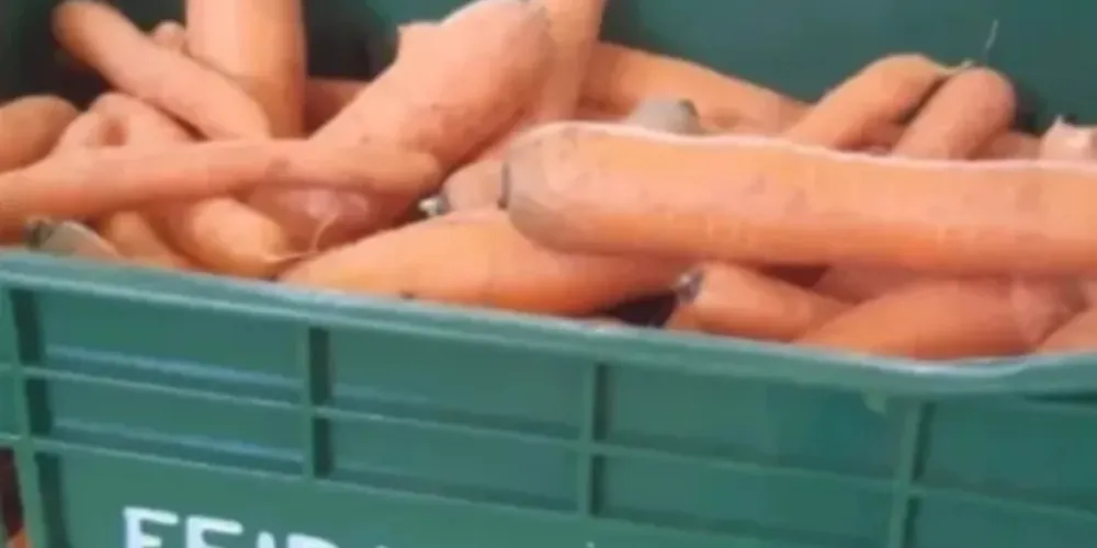 Equipes do Feira Verde estarão trocando recicláveis por frutas, verduras e legumes