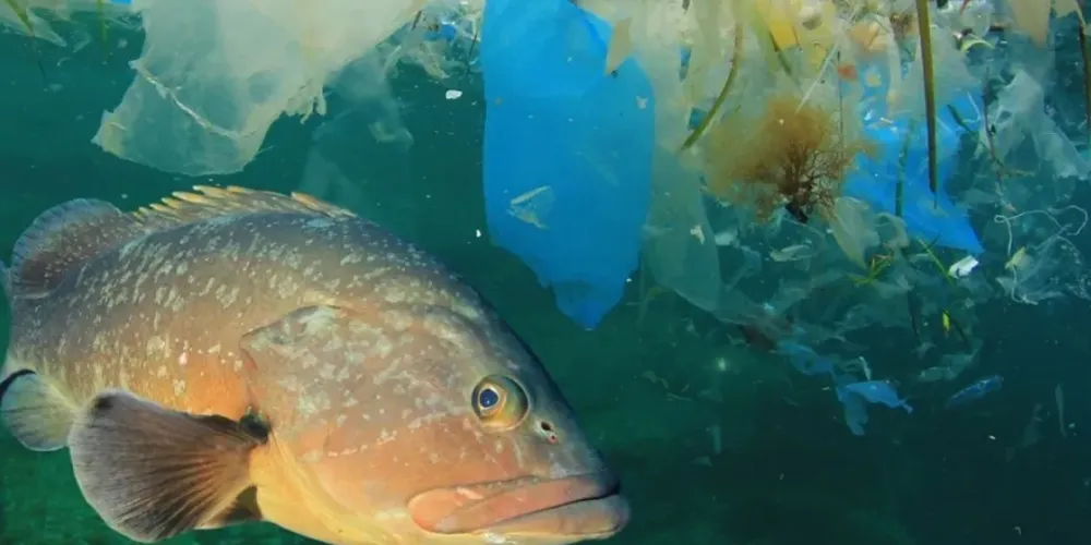 Além do plástico entupir rios, poluir oceanos e ameaçar a vida selvagem, sua maior ameaça é praticamente invisível