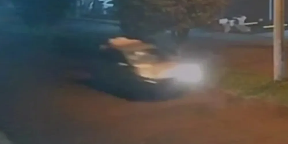 O caso foi registrado como homicídio culposo