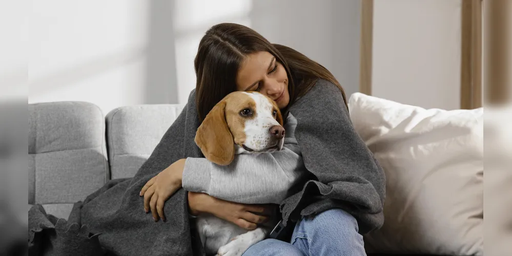 A vacina contra gripe pet ganha destaque no inverno, com opções que incluem gotinhas orais, subcutânea e intranasal