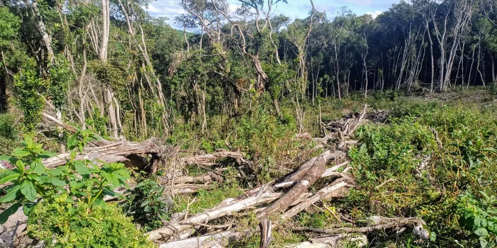 Área atingida fica na localidade de Boa Esperança