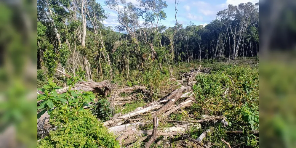 Área atingida fica na localidade de Boa Esperança