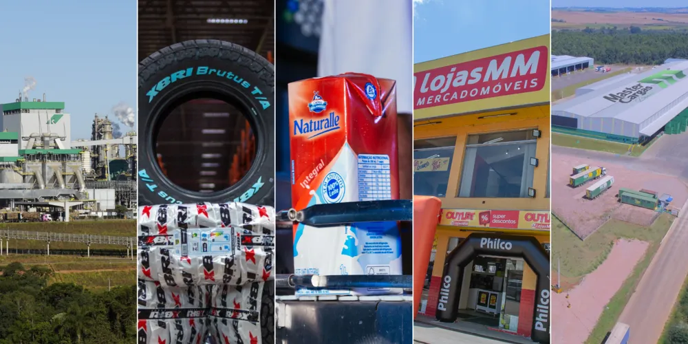 Inúmeras empresas da região foram abordadas na publicação, dos mais diferentes segmentos