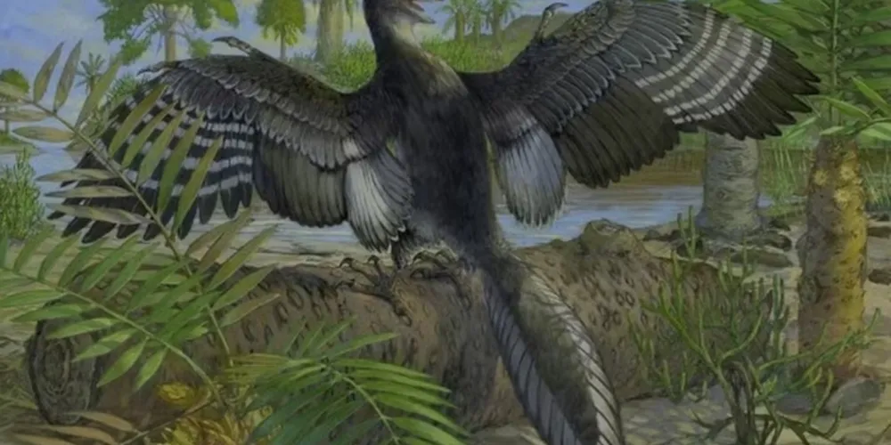 O estudo foi publicado pela revista Nature na última quarta-feira (14)