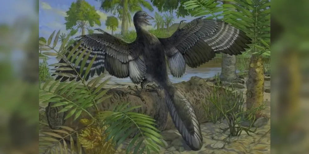 O estudo foi publicado pela revista Nature na última quarta-feira (14)