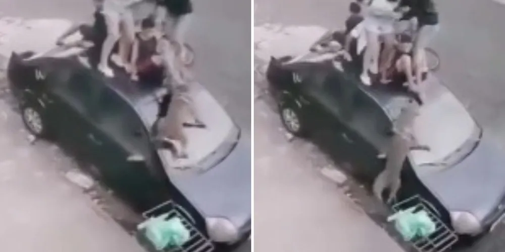 Uma câmera de segurança registrou o momento da ação do cão