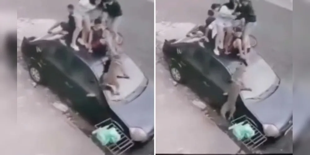 Uma câmera de segurança registrou o momento da ação do cão
