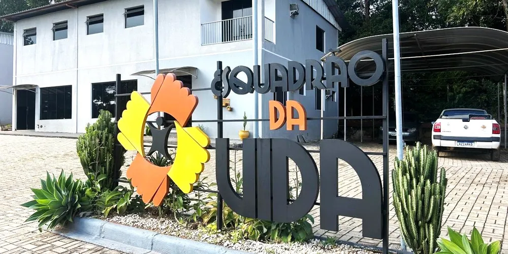 No desenvolvimento pessoal, o indivíduo é estimulado a redescobrir talentos, valores e habilidades que muitas vezes ficaram esquecidos