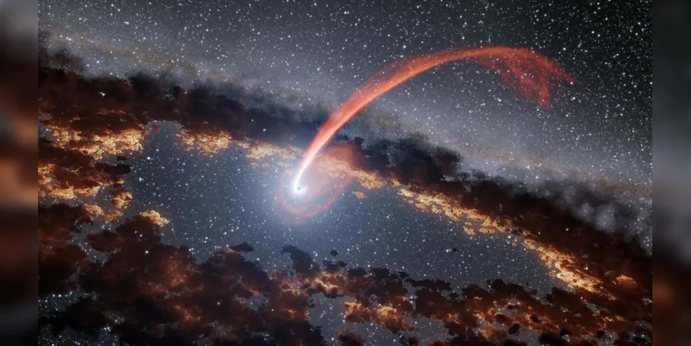 A descoberta surpreendeu os cientistas