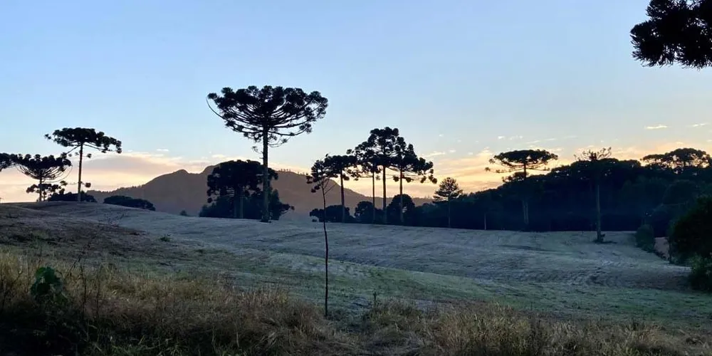 O frio bateu recordes em 2025 no Paraná