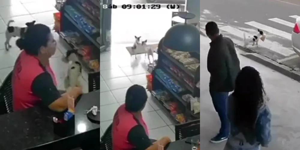 "Furto" aconteceu em estabelecimento no Jardim San Fernando