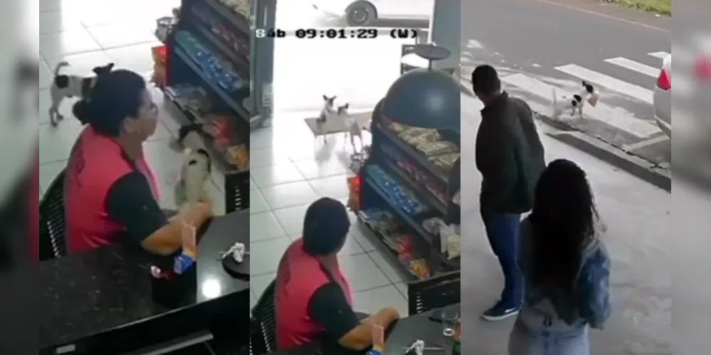 "Furto" aconteceu em estabelecimento no Jardim San Fernando