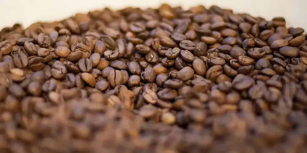 O Ministério orienta que consumidores que tenham adquirido os produtos listados deixem de consumi-los imediatamente