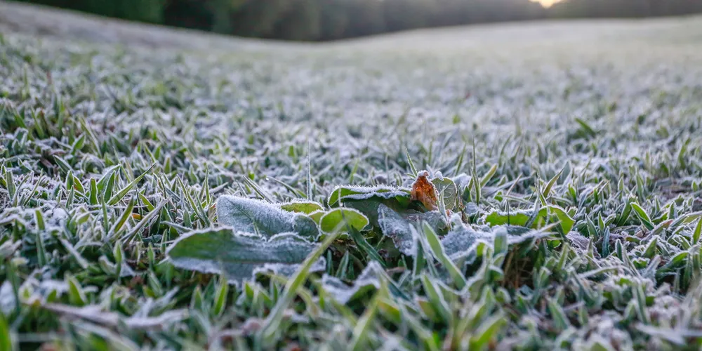 A geada retorna ao Paraná