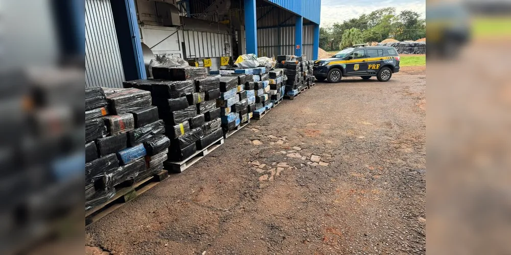 Foram mais de 7.4 mil quilos apreendidos