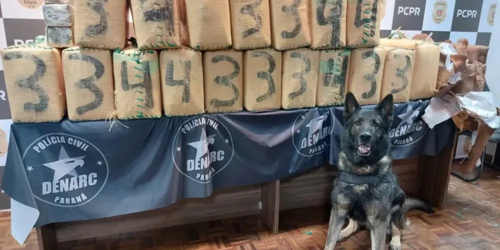 A droga foi apreendida em Campina Grande do Sul