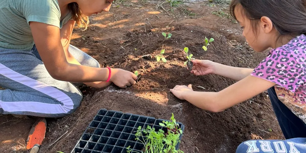 Ações beneficiam turma e outros colegas