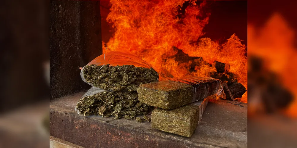 721,56 quilos de maconha foram incinerados nessa sexta-feira