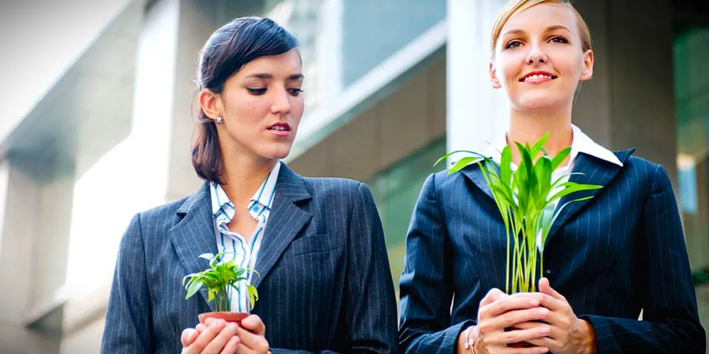 A inveja pode também estar afetando seu desempenho no trabalho