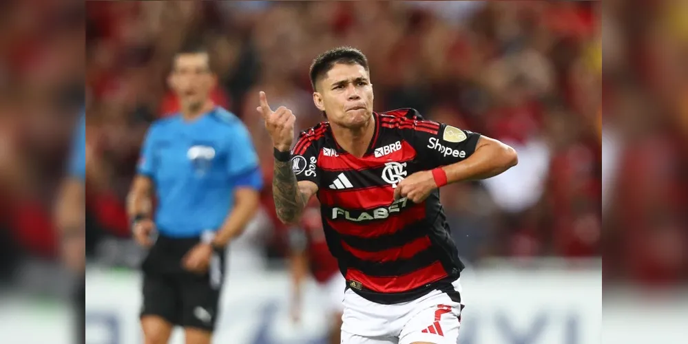Luiz Araújo balançou as redes no Maracanã