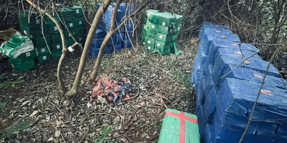 A droga foi encontrada em um matagal