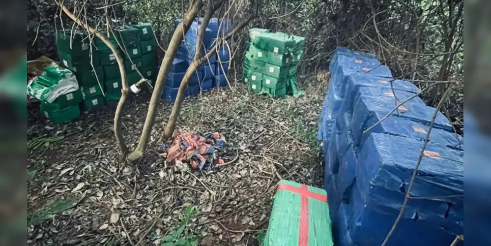 A droga foi encontrada em um matagal